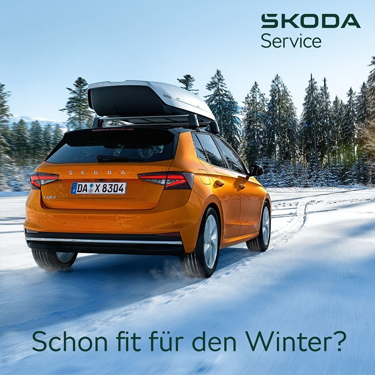 Škoda Scheibenreiniger-Konzentrat Winter 500ml